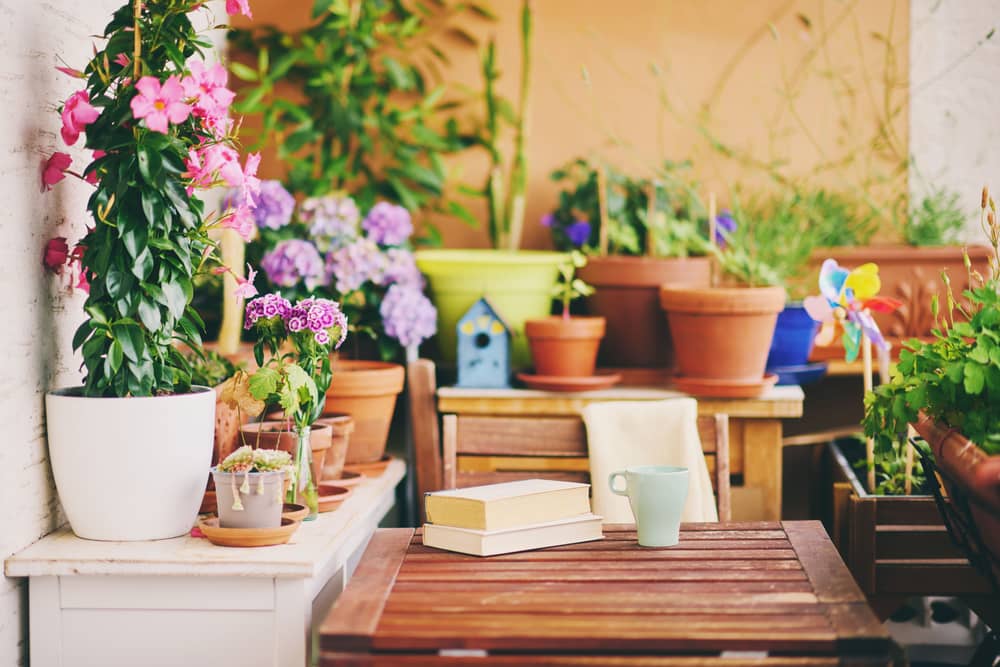 Gemütlicher Balkon mit Holztisch, vielen Blumentöpfen, bunten Blumen und kleiner Dekoration im warmen Licht.