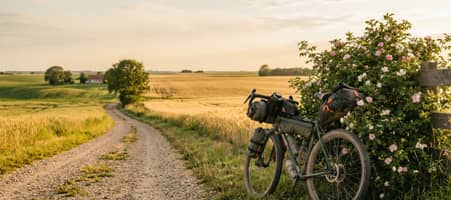 Fahrrad steht an einem Feldweg geparkt in einer sommerlichen Landschaft.